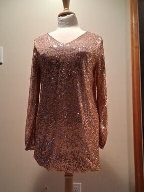 Rose Gold Sequin V-Neck Tunic